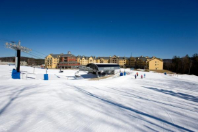 Гостиница Jackson Gore Village on Okemo Mountain  Ладлоу